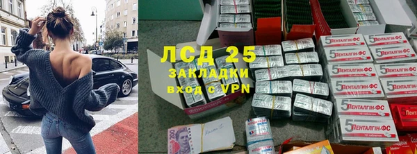 ПСИЛОЦИБИНОВЫЕ ГРИБЫ Абаза