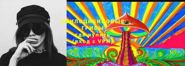ПСИЛОЦИБИНОВЫЕ ГРИБЫ Абаза