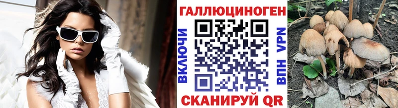 мориарти клад  Северодвинск  Псилоцибиновые грибы Cubensis 